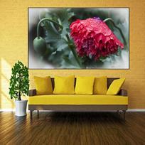 Full Drill 5D DIY Diamond Painting Poppy Flower Embroidery Cross Stitch 20X30CM gray