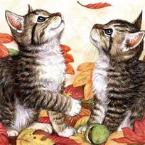 Visas 5D „pasidaryk pats“ deimantinis paveikslas animacinis filmas „Animal Cat“ deimantinis siuvinėjimas kryželiu namų dekoras Rankų darbo 25x25cm gray