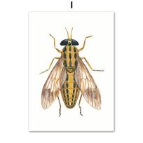 Vabzdžių pavyzdžiai, drugeliai, bitės, modernaus stiliaus menas, namų sienų dizainas, dekoravimas, aliejinės tapybos plakatai 21cm×30cm NoFrame