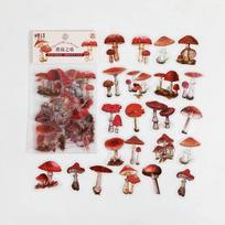 Meniškas Gražus Gamta Augalai Gėlės Žolė Serija PET Rankinės Lipdukai Retro iškarpų knygelė Nešiojamojo kompiuterio „Pasidaryk pats“ dekoracija mergaitei beige