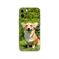 Korgių šuo mielas gyvūnas Animacinis telefono dėklas, skirtas iphone 5 2020se 6 6s 7 8 plus x 10 XR XS 11 12 13 mini pro MAX juodas tpu galinis dangtelis iphone 5 5S SE 2016 green