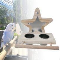 Avian Stainless Steel Bird Feeder Perch Pentagram