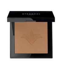 Stendhal Perfecting Compact Powder 140 Miel 9g black