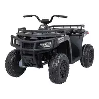 Quad 4x4 ATV WOLF juodas 24V14Ah