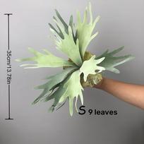 1 vnt netikri augalai vertikalios sienos akcentai Dirbtinė žaluma gėlių kompozicijoms Imituoti elnio ragai ir Euphorbia Modern S gray