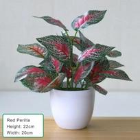 1PC Plant bonsai office decoration living room decoration artificial plant bonsai fake plant home decoration accessories 22x20x20cm