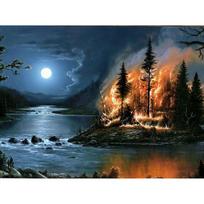 Visiškai apvalus gręžimas deimantiniu siuvinėjimu „Forest on Fire“ 5D „pasidaryk pats“ deimantinis dažymas kryželiu krištolinis akmenukas 20X30CM gray