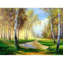 „Pasidaryk pats“ deimantinė tapyba Viso gręžimo peizažas, beržas, deimantinis siuvinėjimas kraštovaizdžio tapyba kalnų krištoliniu akmeniu 20X30CM