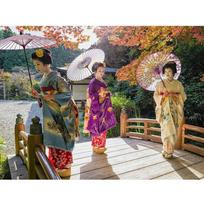 Deimantinis paveikslas Siuvinėjimas kryželiu Japonijos geišos deimantinis mozaikos portretas Deimantinis siuvinėjimas 20X30CM black
