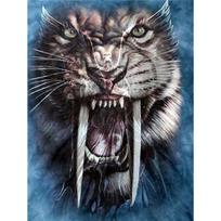 5D PASIDARYK pats deimantinė tapyba „spalvingas liūtų karalius“ 3D siuvinėjimas kryželiu kalnų krištolo dekoras 20X30CM black