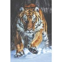 5D „pasidaryk pats“ deimantinis paveikslas „Snow Tiger“ deimantinis siuvinėjimas kryželiu namų dekoras, rankų darbo dovanos Square 20x30cm gray