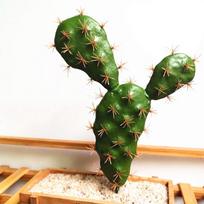 Artificial Fake Tropical Flower Green Cactus Succulents Simulation Plants Decor 4