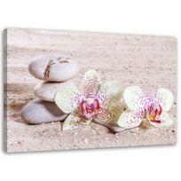 Drobės spaudinys Orchidėjos Zen Spa Akmenys 60x40 rožinė