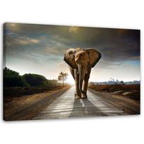 Canvas print Elephant on the street Africa Nature 60x40 ruda