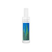 CHUNGMIJUNG Aloe Fermentation Moisturizing Cream 140ml 1 PCS