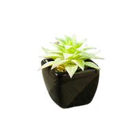 Artificial Green Succulent Ceramic Potted Plants Bonsai with Vase Faux Plant Figurine Garden Balcony Indoor Outdoor