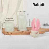 2 vnt./rinkinys Zodiako smilkalų žvakių silikoninė forma „pasidaryk pats“ triušio gyvūno kombinacinis rinkinys gipso dekoravimo forma rabbit white