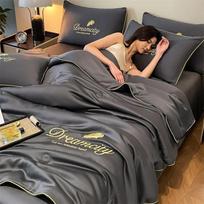 Antibacterial Embroidery Skin-friendly Imitation Silk Ice Thin Blanket,Air Conditioner Washable by the Cool Summer Quilt 150x200cm pilka