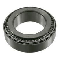Rato guolis FE08082