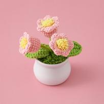 Fashion Handwoven Mini Potted Flower Office Desktop Ornamental Potted Plants Woolen Thread Finished Product Home Decoration 10x12cm