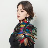 Feather Shawl Vest Fake Collar Adult Halloween Christmas Dance Performance Shoulder Accessories and Ethnic Style Accessories 80x40cm&8Y mėlyna