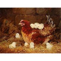 Pasidaryk pats 5D deimantinė tapyba Gyvūnų ferma Vištos Pilnas apvalus deimantinis siuvinėjimas Kryželiu siuvinėjimas 20X30CM