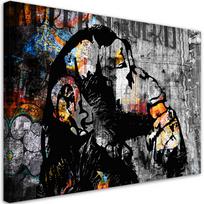 Drobės spaudinys Gatvės menas banksy beždžionė abstraktus 60x40 įvairiaspalvis