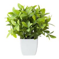 Patrauklūs žalios spalvos bonsai smulkūs papuošalai