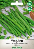 Žemaūgės paprastosios pupelės Delfina 40g pupelių sėklos - WegAna