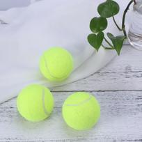 Teniso kamuoliukai skardinėje dėžutėje Praktikai Lengvai atidaromas dangtelis Įprasto naudojimo Šunims Konservuoti augintiniams Čempionato teniso kamuoliukų rinkinys gray
