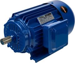 Elektros variklis 2,2KW 380V KD1814