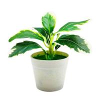Artificial Potted Plant Realistic Plastic Eye-Catching Imitative Bonsai Plants for Home 2