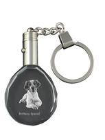 Brittany Spaniel, Brittany Wiegref - pendant with a photo of a dog, crystal key ring in a gift box, a unique gift by Art-Dog skaidri