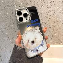 Mobiliųjų telefonų dėklai iPhone 11 13 XR 15 Pro Max 12 14 Pro Max Case iPhone 16 XS Max veidrodinis apsauginis dėklas Veidrodis išskirtinis animacinis filmas, atsparus vandeniui iPhone 11 Pro Max sidabro smėlio spalvos