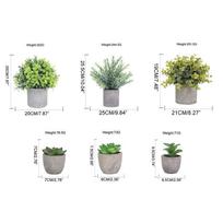 Simulation Green Plant Succulent Pulp Pot Set Simulation Eucalyptus Leaf Green Tea Leaf Potted Plant Home Decoration Supermarket Decoration