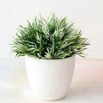 Dirbtinis augalas Bonsai Imitacija Plastikinis Mažas Medelis Vazoninis Augalas Vazoniniai Papuošalai Namų Stalo Dekoracija Viešbučio Sodo Dekoravimas balta