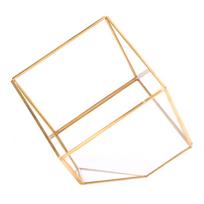 Gold Geometric Shape Succulents Plant Flowerpot Glass Planter Landscape Home Table Decoration