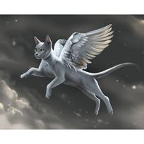 „Pasidaryk pats“ 5D deimantinis paveikslas „Animal Angel Cat“ kryžminio dygsnio deimantinis siuvinėjimas 20X30CM