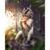 5D „pasidaryk pats“ pilnas apvalus deimantinis paveikslas „Forest Monkey“ deimantinis siuvinėjimas kryželiu 20X30CM gray