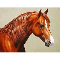 „Pasidaryk pats“ 5D deimantinis piešimas kryželiu arklio mozaika deimantinis siuvinėjimas Rankdarbiai 20X30CM orange