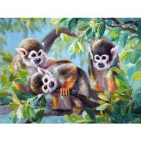 Visas 5D „pasidaryk pats“ deimantinis paveikslas „Monkey Slap“ deimantinis siuvinėjimas Visiškai klojamas kryželiu namų dekoras, rankų darbo dovana 20x30cm