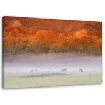 Spaudinys ant drobės Misty Forest 60x40 oranžinė