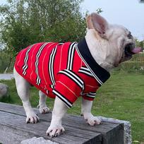 Mažių šunų drabužiai Madingi šunų polo marškinėliai Dryžuoti kačių drabužiai Augintinių Ropa Para Perro Pequeño Šunų Kalėdiniai drabužiai XS raudona