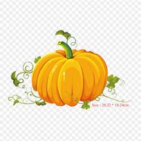 Cucurbita Pepo Pumpkin Pie Iron on Heat Transfer Printing Vinyl Patches Sticker for Clothes DIY Appliques Washable Patches
