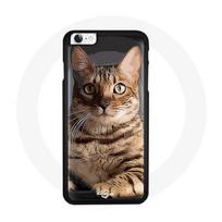 Coque pour Iphone 5/5S Chat chaton Bengal