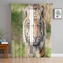 Close Up Head Shot Of Sumatran Tiger Panthera Tigris Sumatrae Tulle Sheer Curtains for Living Room Decor Voile Organza Curtain 135W x 114H(cm) gray