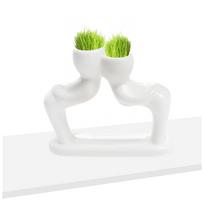 Mini bonsai galvos žolės plaukai balti keraminiai augalų sodai, medžio lėlės vazonas balta
