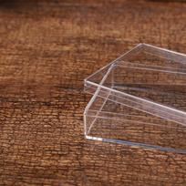 Mini stačiakampė dėžutė permatoma plastikinė saldainių papuošalų pakavimo dėžutė su dangteliu brown