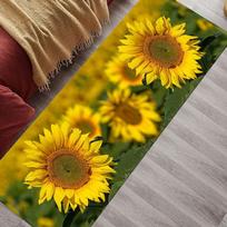 Bedside Carpet Bedroom Window Floor Mat Hallway Entrance Mat Living Room Coffee Table Carpet 50 cm * 160cm yellow