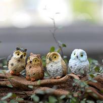Chic Garden Owl Moss Terrarium Desktop Decor Crafts Bonsai Animals Miniature Diy gray